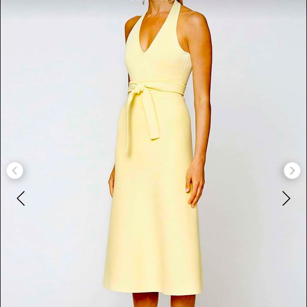 Scanlan Theodore halter dress